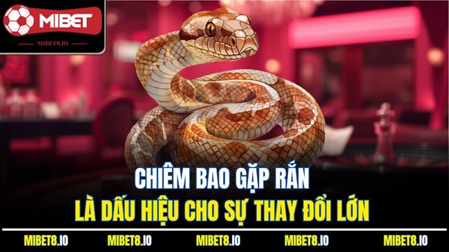 Chiêm bao gặp rắn là dấu hiệu cho sự thay đổi lớn